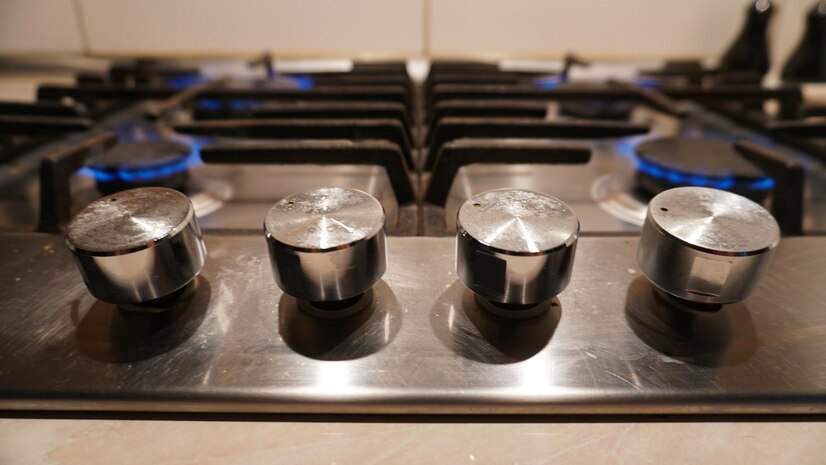 stainless steel gas tandoor